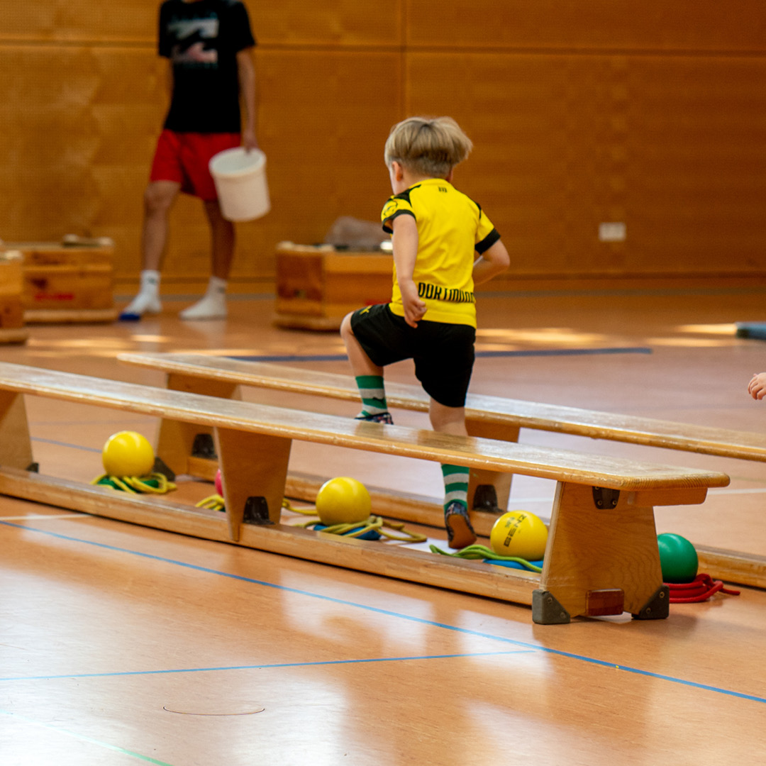 Achtung, giftige Quallen